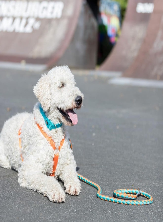 Trixie Cavo Adjustable Leash, 2.00 M 12 Mm, S-M, Indigo/Royal Blue - Image 5